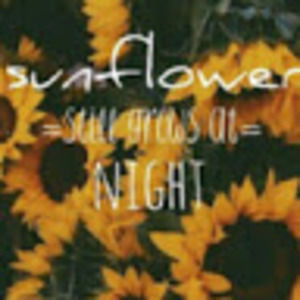 Meet your Posher, Caitlin